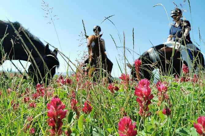 Horsebackriding - explore Tuscan nature - Where You Start: Pieve a Salti Stables and the First Setup