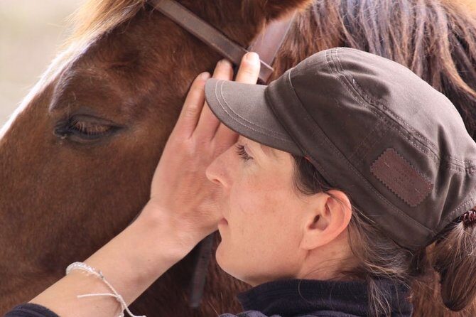 Horsebackriding - explore Tuscan nature - The Time on the Saddle: What 2–2.5 Hours on Horseback Really Feels Like
