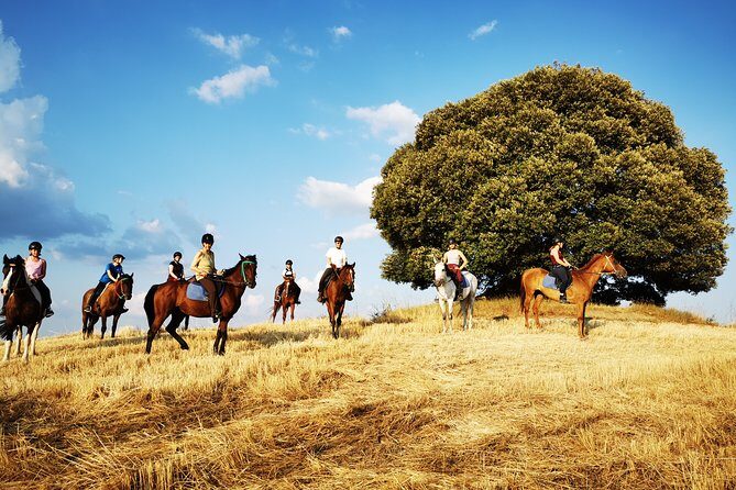 Horsebackriding - explore Tuscan nature - Guides and Safety: Calm Direction, Real Comfort Checks