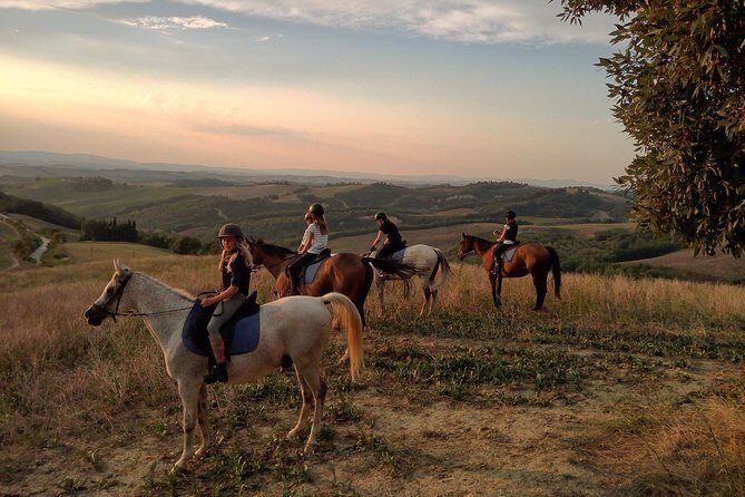 Horsebackriding - explore Tuscan nature - Who This Horse Ride Is Best For