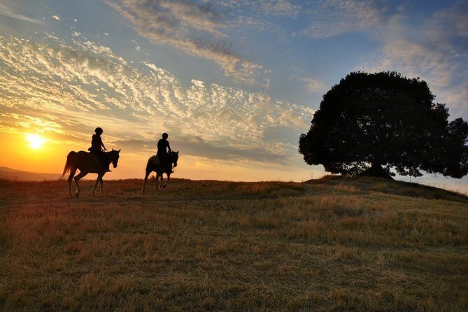 Horsebackriding - explore Tuscan nature - Should You Book This Tuscan Horse Ride From Near Siena?