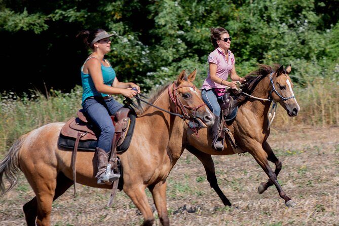 Horsemanship Experience - Key highlights to look for