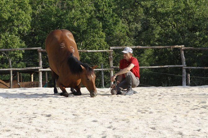 Horsemanship Experience - Value in practice: what $47.43 really buys you