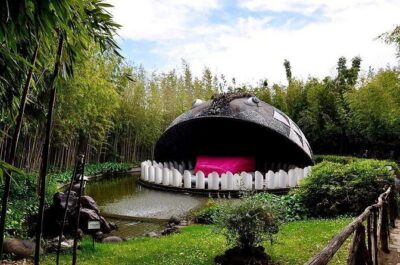 House of the Butterflies of the Collodi Pinocchio Polycentric Park - Collodi Butterfly House: A Calm 30-Minute Start