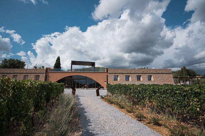 In a carriage among the vineyards, visit of the cellar, tasting of organic wines. - Key highlights you’ll actually remember