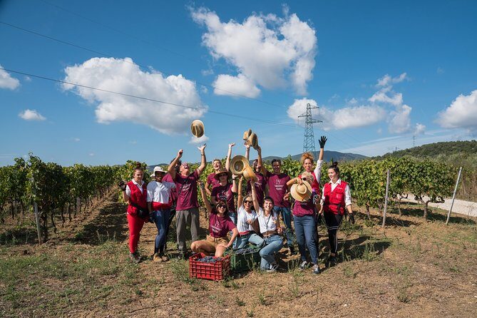 In a carriage among the vineyards, visit of the cellar, tasting of organic wines. - Biointegral and organic/biodynamic farming: why it affects what you taste