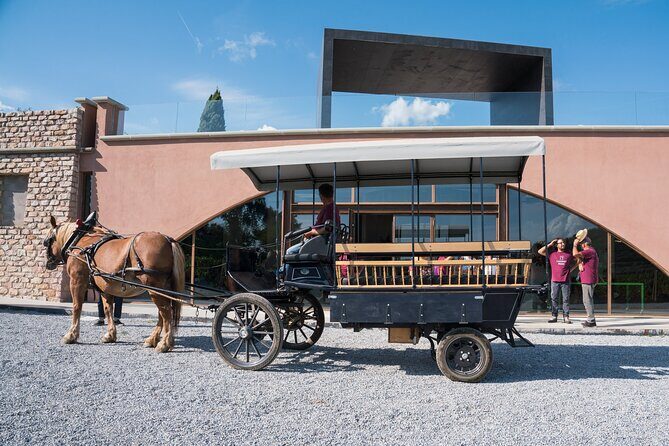 In a carriage among the vineyards, visit of the cellar, tasting of organic wines. - Cellar time at Casadei: barrel cellar and amphorae