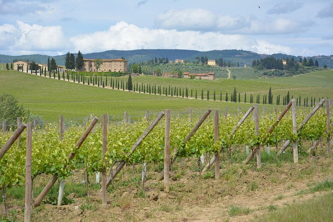 It's Wine Time! 2 wineries & farm-to-table lunch—max 8 pp - Winery Stop Two: Second Tastings, Different Styles, Better Perspective