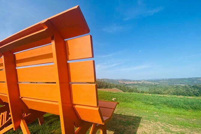La Maliosa Farm Experience & Wine Tasting - Your 1.5-hour flow: vineyard walk, viewpoint, and the production story