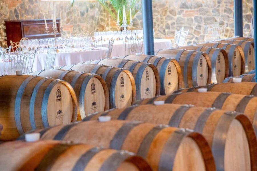 Light Lunch with Wine Tasting - Tenuta Torciano: the Chianti base you’ll enjoy sticking around