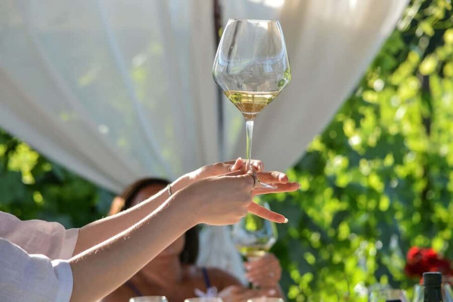 Light Lunch with Wine Tasting - Who this is best for (and who should choose something else)