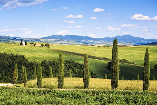 Livorno shore excursion: Bolgheri and Supertuscan private tour - Key highlights that matter (and why)