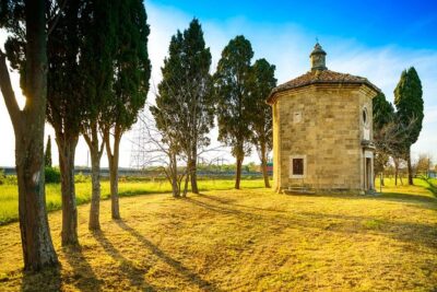 Livorno shore excursion: Bolgheri and Supertuscan private tour - Private driver + wine expert: the real “plus” on a shore day