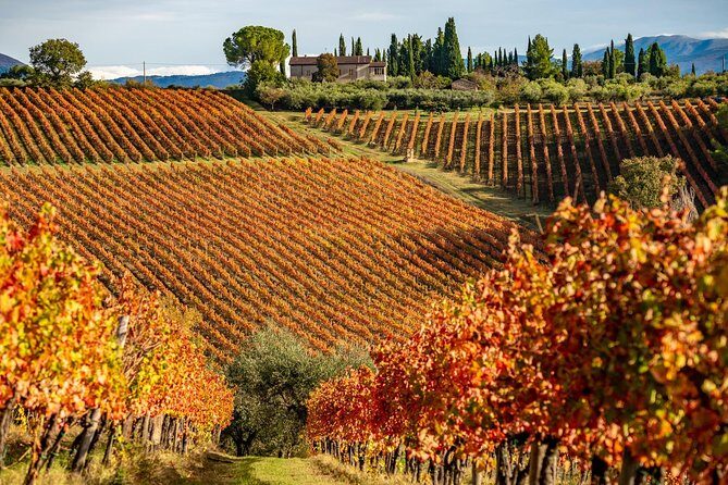 Livorno Shore Excursion: Chianti and Tuscany Countryside Private Wine Tour - Casa Emma backup: the alternative if Montecchio isn’t available