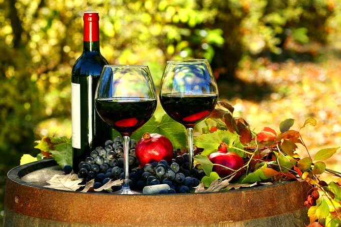 Livorno Shore Excursion: Chianti and Tuscany Countryside Private Wine Tour - Who this tour suits best (and who might not)