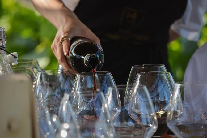 Lunch with Wine Tasting - Sitting among barrels and the family atmosphere that makes it worth the price