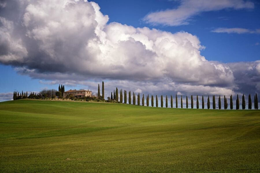 Magic Tuscany Tour - Morning vs afternoon: lunch in Pienza or pecorino aperitivo + sunset
