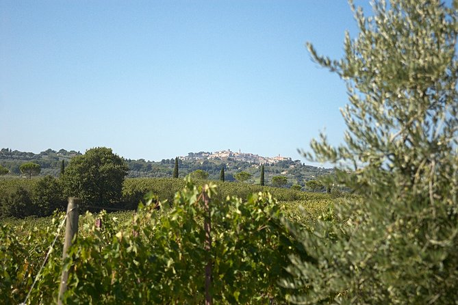 Menu with a “View” in the enchantment of the Tuscan hills - Key Things to Know Before You Go