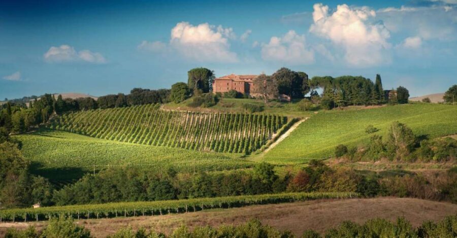 Montalcino: Brunello Wine Tasting Experience - The sommelier experience: how three wines become a real lesson