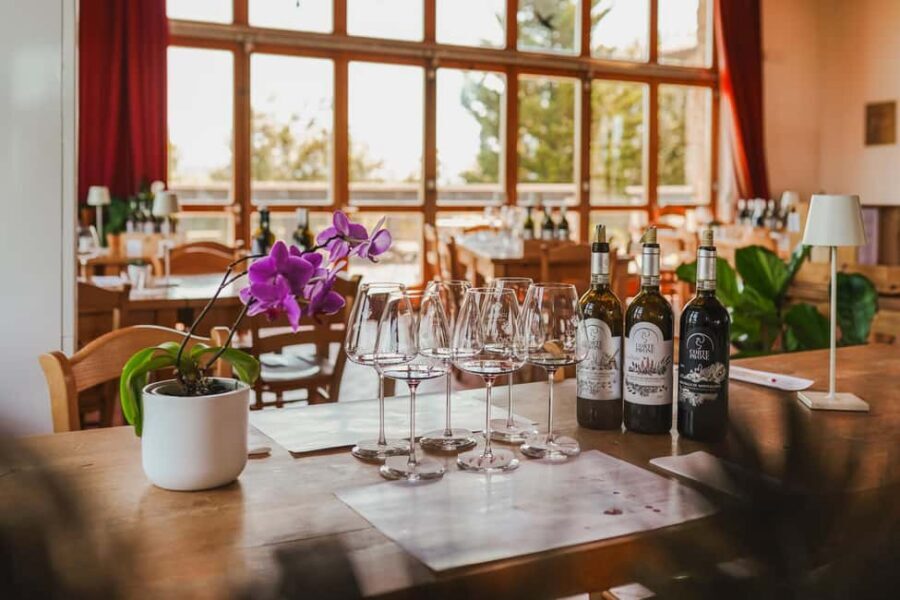 Montalcino: Gourmet Wine & Food Tasting - Who should book (and who should skip)
