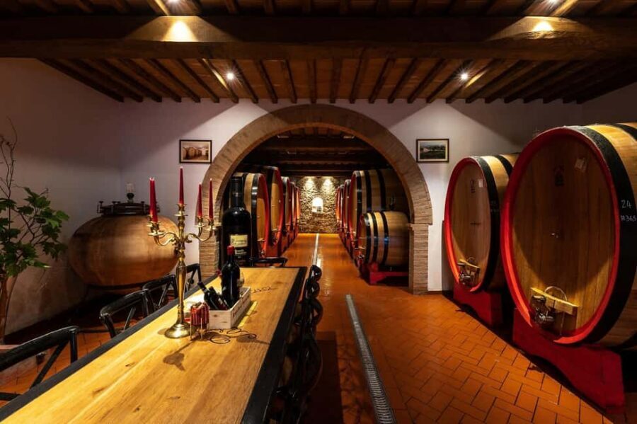 Montalcino: Premium Wine Tasting with light-lunch and Tour - Cellar and Vineyard Tour: Where the Wine Story Gets Physical