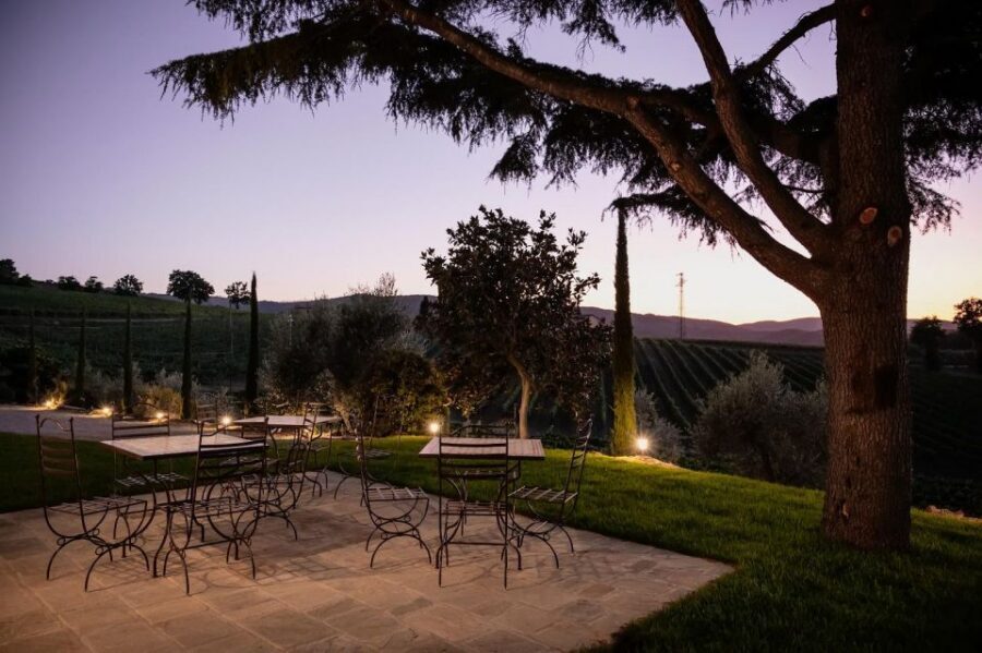 Montalcino: Premium Wine Tasting with light-lunch and Tour - Practical Timing: How to Fit a 2-Hour Winery Visit Into Your Day