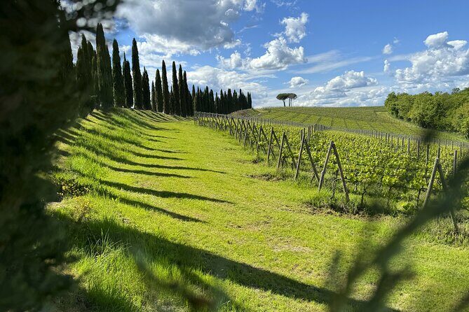 MONTALCINO Private E-Bike & Brunello Winery Experience - Entering the day at Colsereno: a private start that sets the tone