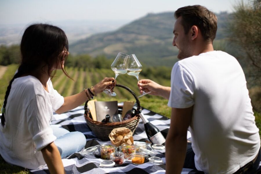 Montalcino: Vineyard Picnic with a Bottle of Wine - Key highlights to know before you go