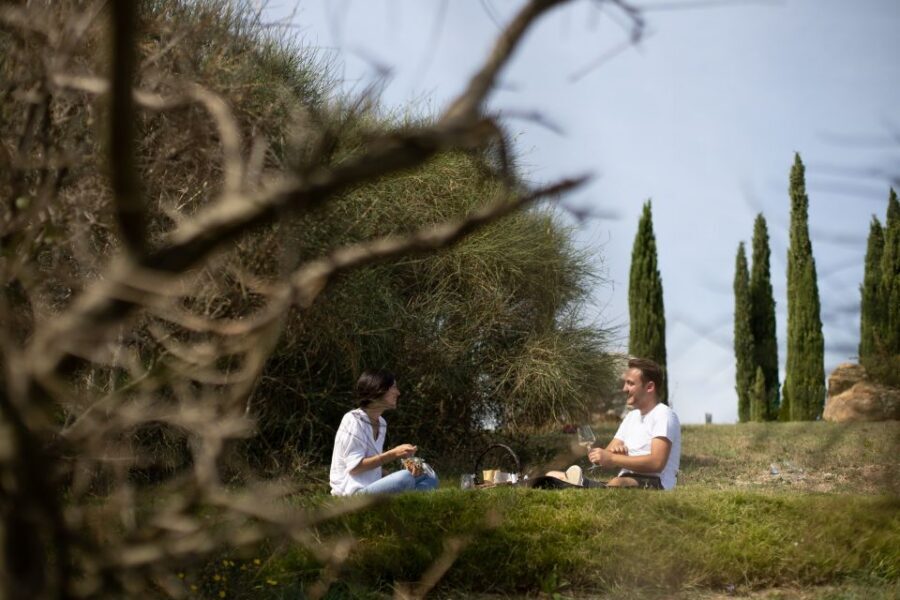 Montalcino: Vineyard Picnic with a Bottle of Wine - Corte Pavone Winery near Montalcino: why this picnic works