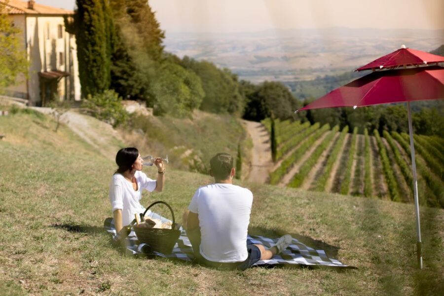 Montalcino: Vineyard Picnic with a Bottle of Wine - The vineyard picnic basket: homemade Tuscan specialties, with vegan/vegetarian options