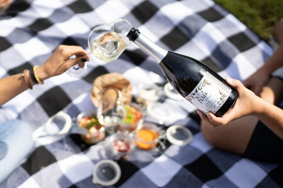 Montalcino: Vineyard Picnic with a Bottle of Wine - Price and value: is $47 per person fair?