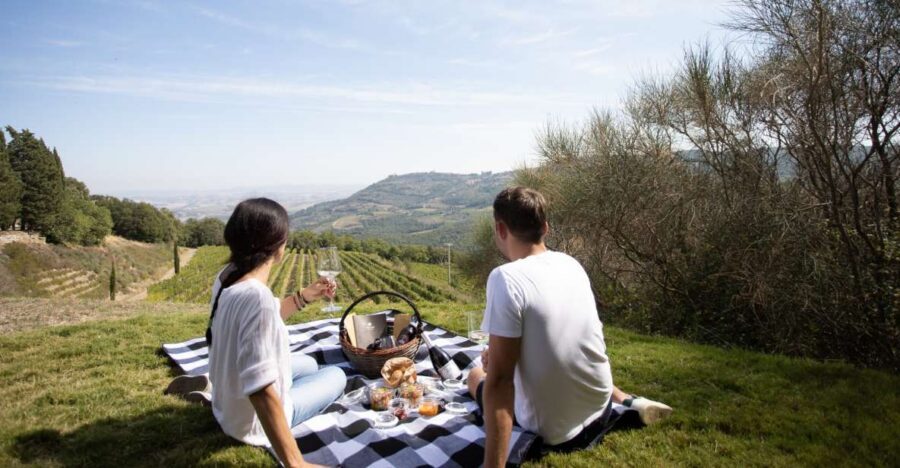 Montalcino: Vineyard Picnic with a Bottle of Wine - Who this Montalcino vineyard picnic suits best