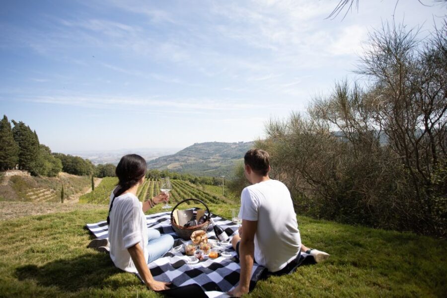 Montalcino: Vineyard Picnic with a Bottle of Wine - The guided tour through vines and the vaulted cellar