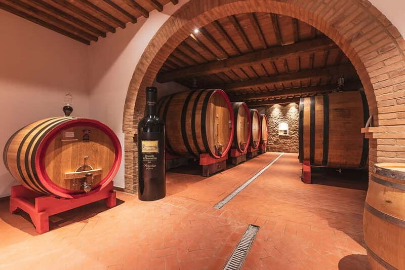Montalcino: Vinyard Tour with Vertical Brunello Tasting - Private Vineyard Tour and Cellar Visit in Montalcino’s North-West Corner