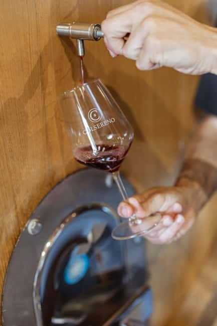 Montalcino: Wine Tasting and Tuscan Lunch - The organic vineyard walk and those panoramic views