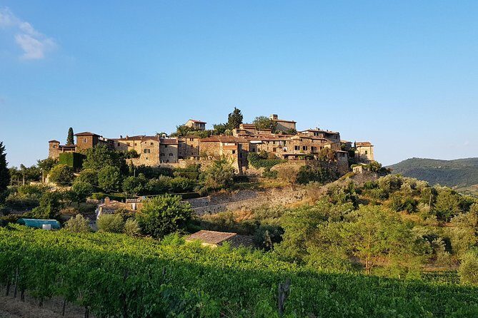 Montefioralle Winery - Tour and Wine Tasting in Chianti - Price and What You’re Really Getting for $42.24