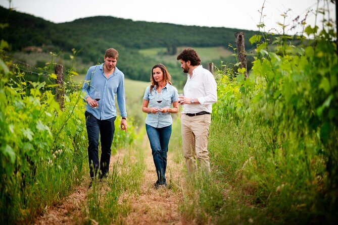 Montefioralle Winery - Tour and Wine Tasting in Chianti - Stop 1: The Winery Tour Where the Grapes Become Bottles