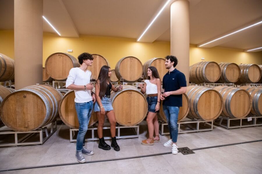 Montepulciano: Guided Wine Tasting Tour with Lunch - Touring 3 Wineries Around Montepulciano Without Feeling Rushed