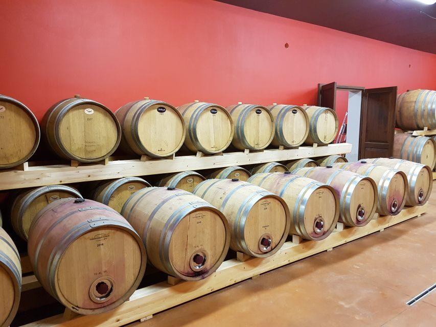 Montepulciano: Tuscan Winery Tour with Wine Tasting & Meal - The vineyard lunch or dinner: a 1-hour meal paced for tasting