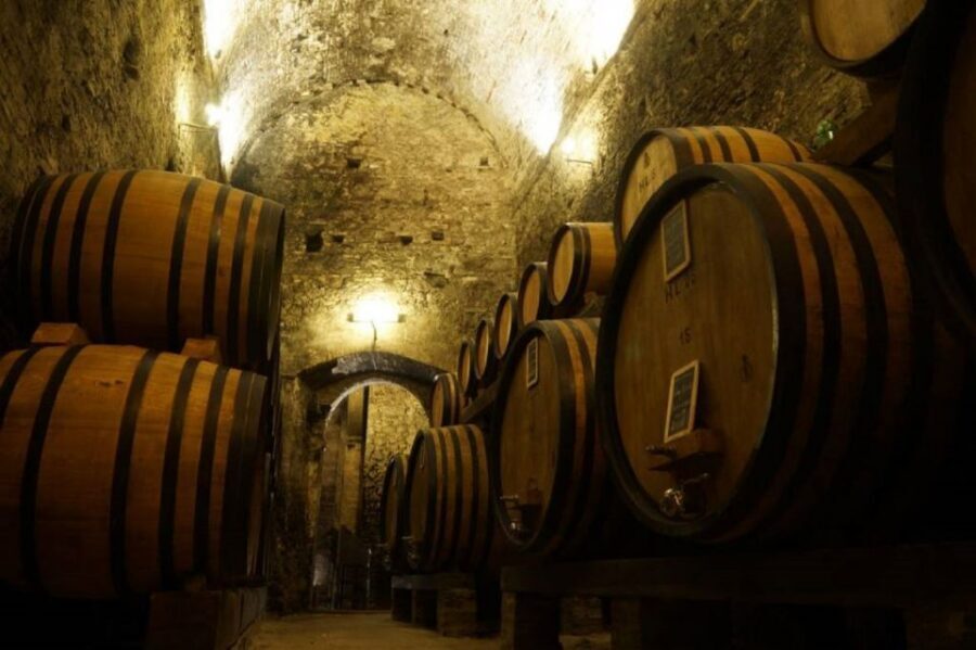 Montepulciano: Wine Tasting and Cellar Tour - Key highlights that matter