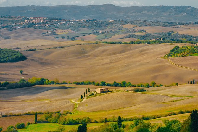 Montepulciano: Wine Tasting & Lunch in a typical winery - Key things to know before you go