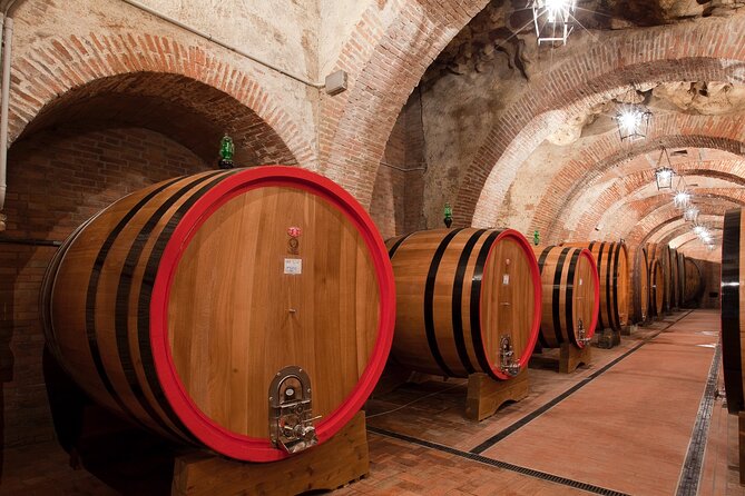 Montepulciano: Wine Tasting & Lunch in a typical winery - Timing and pacing: 1 hour 30 minutes that can feel short