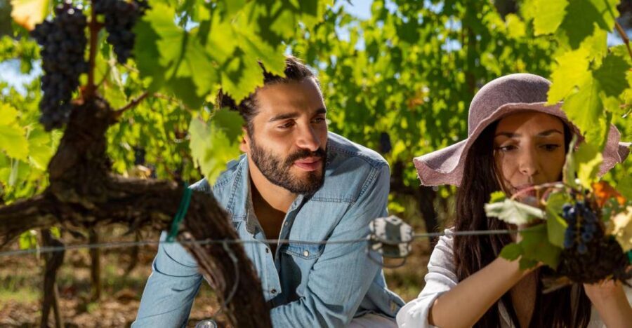 Montepulciano: Wine Tasting with typical Tuscan Cold Cuts - Key Things to Know Before You Go