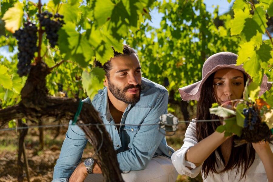 Montepulciano: Wine Tasting with typical Tuscan Cold Cuts - The Three-Wine Flight: Vino Nobile di Montepulciano DOCG at the Center