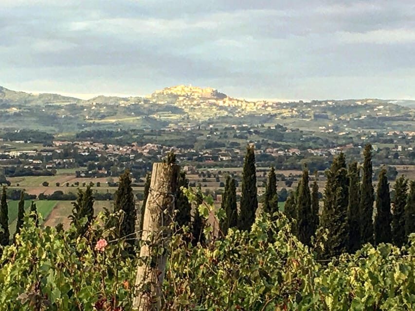 Montepulciano: Wine Tour and tasting - Quick hits you’ll care about