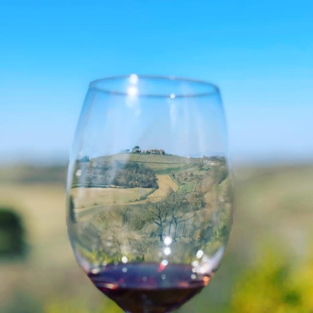 Montepulciano: Wine Tour and tasting - A centenary hilltop estate above Val di Chiana
