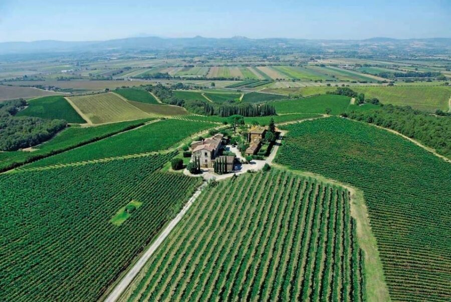 Montepulciano: Wine Tour and tasting - Cellar visit: vinification and oak aging without the fluff