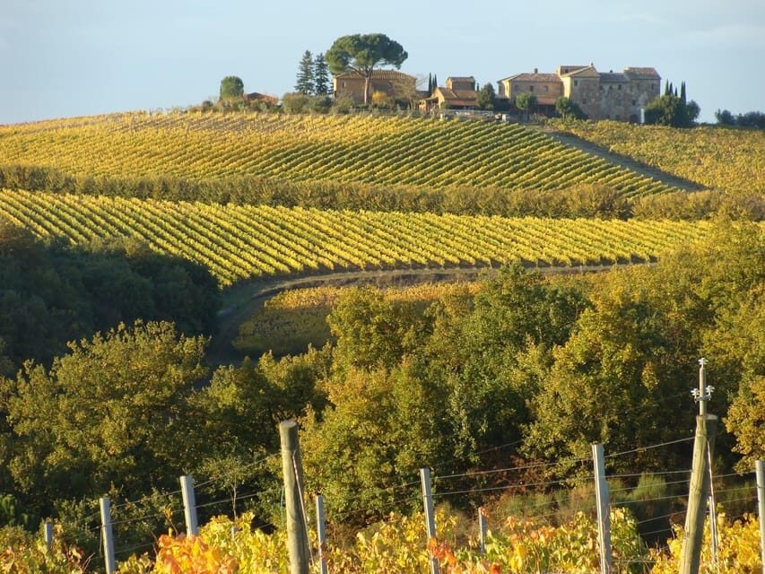 Montepulciano: Wine Tour and tasting - Dogs, pace, and other real-world practicalities