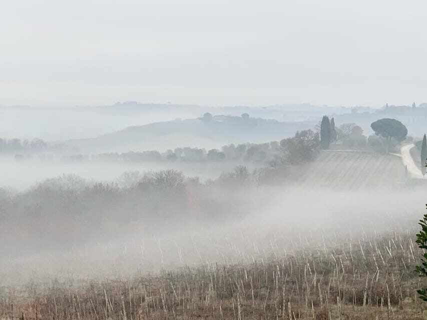 Montepulciano: Wine Tour and tasting - Who this tour suits best