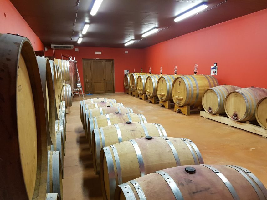 Montepulciano: Winery Tour, Tasting, and Vineyard Picnic - Key things to know before you go